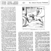 image terhune251004-jpg