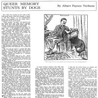 image terhune251122-jpg