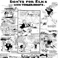 image elks090711a-jpg