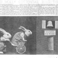 image peterrabbit150327-jpg