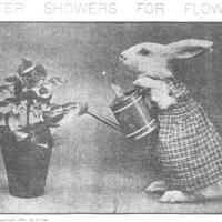 image peterrabbit150403-jpg