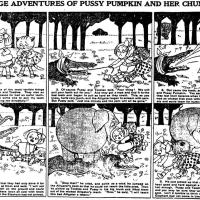 image pussypumpkin031025-jpg