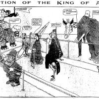 image aniland020622-jpg