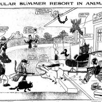 image aniland020713-jpg