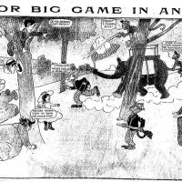 image aniland020720-jpg