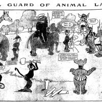 image aniland020803-jpg