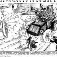 image aniland020817-jpg