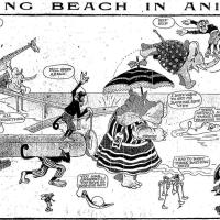 image aniland020824-jpg