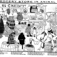 image aniland020907-jpg