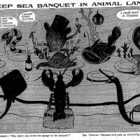 image aniland020921-jpg