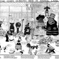 image aniland021019-jpg