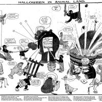 image aniland021026-jpg