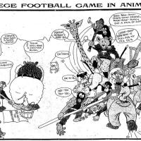 image aniland021116-jpg