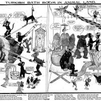 image aniland021207-jpg