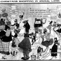 image aniland021214-jpg