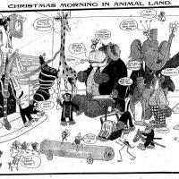 image aniland021221-jpg