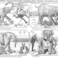 image rhino070407-jpg