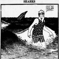 image mccay201030-jpg