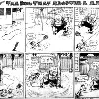 image wags051217-jpg